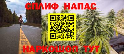 сатива Кулебаки