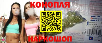 сатива Кулебаки