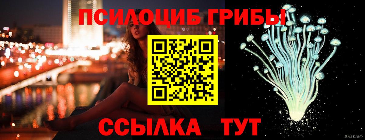 Зеленодольск  Псилоцибиновые грибы мухоморы  хочу   Вход с VPN  Галлюциногенные грибы Cubensis 